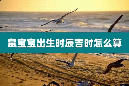 鼠宝宝出生时辰吉时怎么算