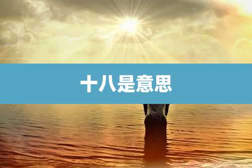 十八是意思