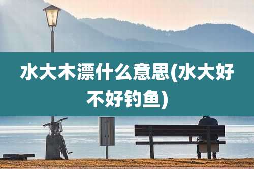 水大木漂什么意思(水大好不好钓鱼)