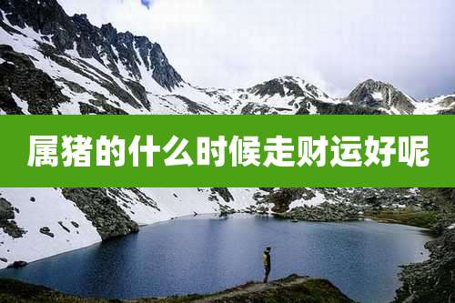 属猪的什么时候走财运好呢