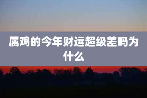 属鸡的今年财运超级差吗为什么