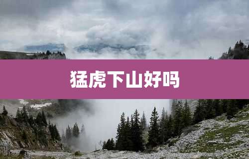 猛虎下山好吗