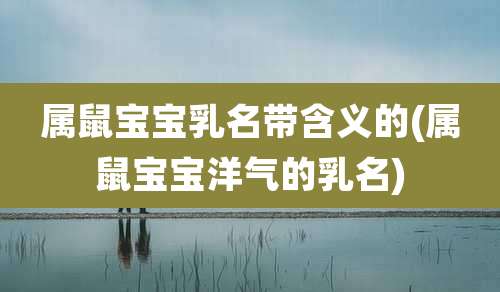 属鼠宝宝乳名带含义的(属鼠宝宝洋气的乳名)
