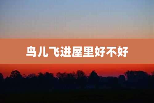 鸟儿飞进屋里好不好