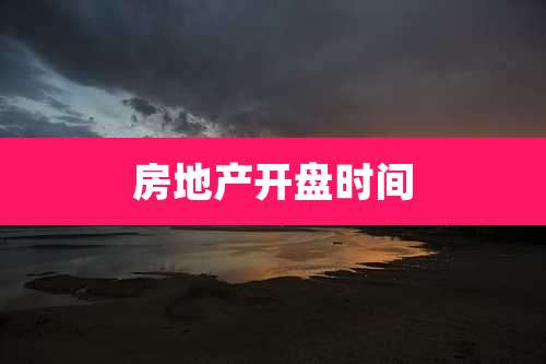房地产开盘时间