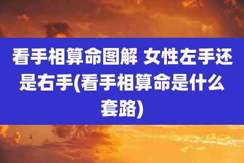 看手相算命图解 女性左手还是右手(看手相算命是什么套路)