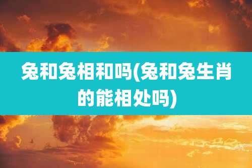 兔和兔相和吗(兔和兔生肖的能相处吗)