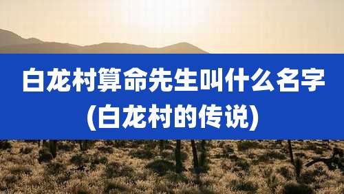 白龙村算命先生叫什么名字(白龙村的传说)