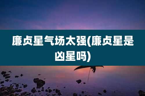 廉贞星气场太强(廉贞星是凶星吗)