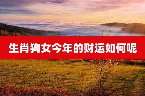 生肖狗女今年的财运如何呢