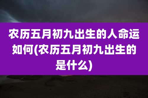 农历五月初九出生的人命运如何(农历五月初九出生的是什么)