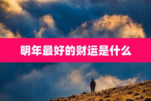 明年最好的财运是什么