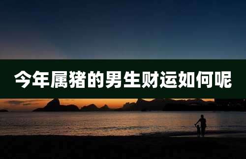今年属猪的男生财运如何呢