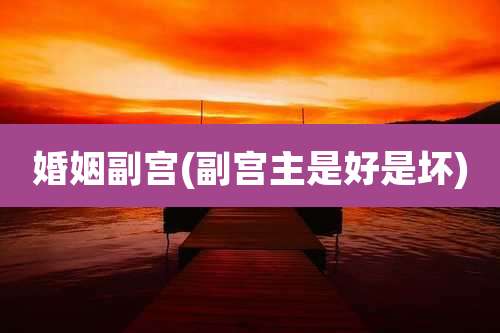 婚姻副宫(副宫主是好是坏)