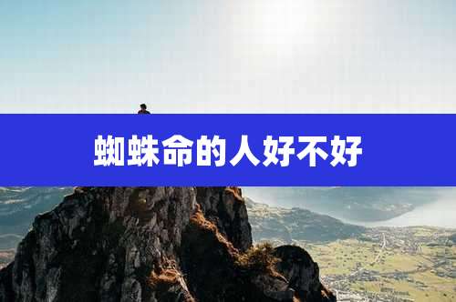 蜘蛛命的人好不好