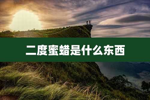 二度蜜蜡是什么东西