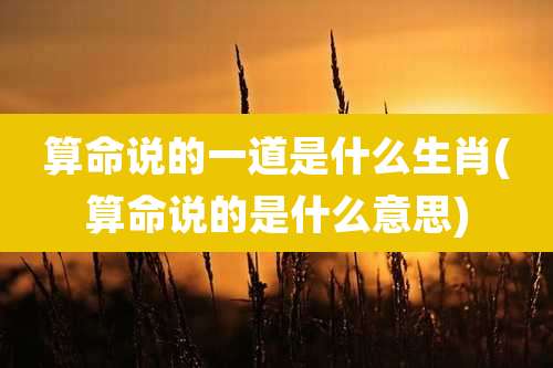 算命说的一道是什么生肖(算命说的是什么意思)