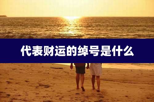 代表财运的绰号是什么