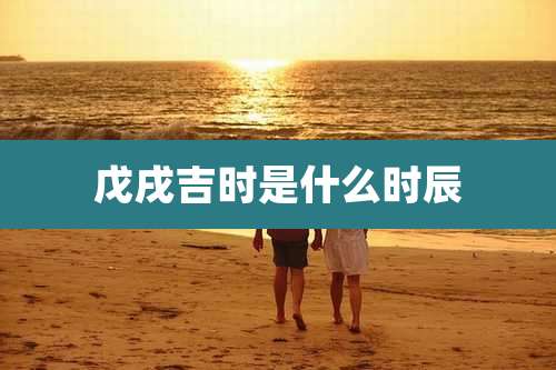 戊戌吉时是什么时辰