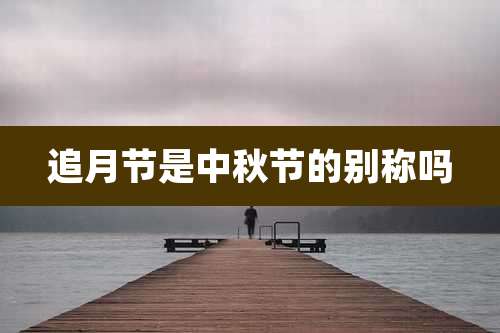 追月节是中秋节的别称吗