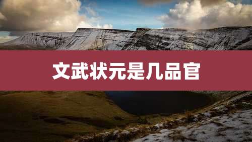 文武状元是几品官