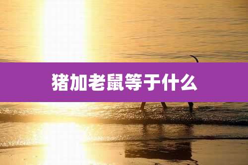 猪加老鼠等于什么