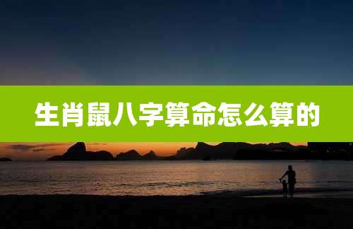 生肖鼠八字算命怎么算的