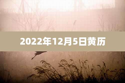 2022年12月5日黄历