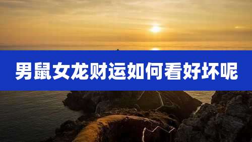 男鼠女龙财运如何看好坏呢