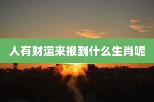 人有财运来报到什么生肖呢