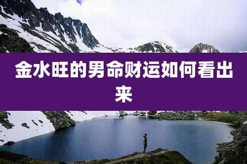金水旺的男命财运如何看出来