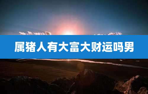 属猪人有大富大财运吗男