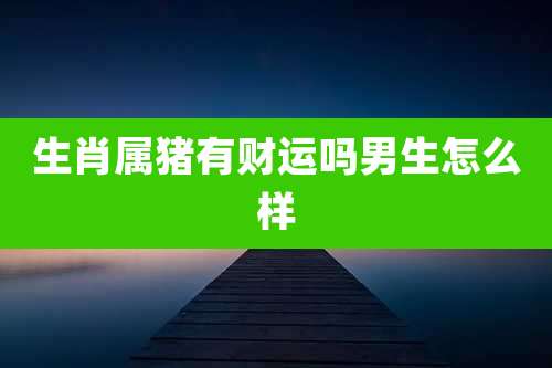 生肖属猪有财运吗男生怎么样