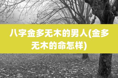 八字金多无木的男人(金多无木的命怎样)