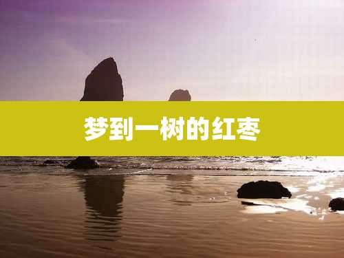 梦到一树的红枣