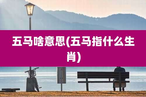 五马啥意思(五马指什么生肖)