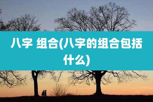 八字 组合(八字的组合包括什么)