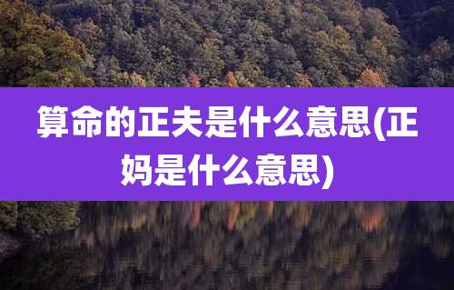 算命的正夫是什么意思(正妈是什么意思)