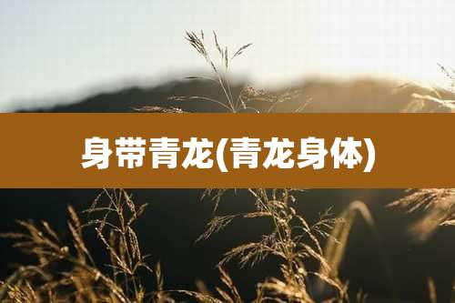 身带青龙(青龙身体)