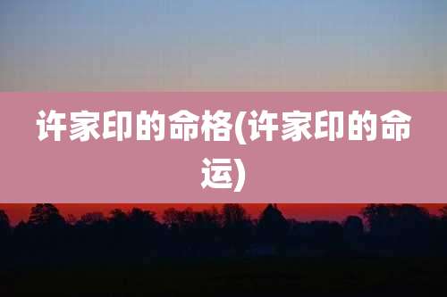 许家印的命格(许家印的命运)