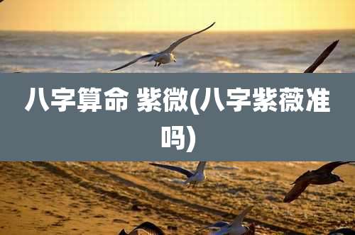 八字算命 紫微(八字紫薇准吗)