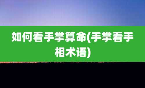 如何看手掌算命(手掌看手相术语)