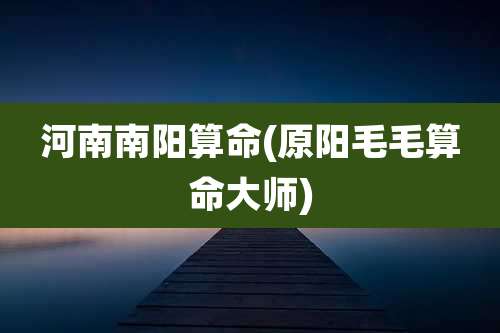 河南南阳算命(原阳毛毛算命大师)