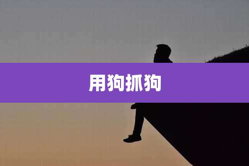 用狗抓狗