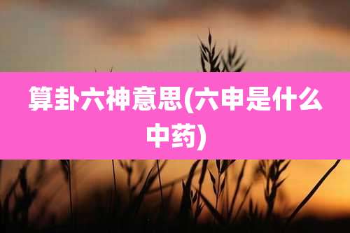 算卦六神意思(六申是什么中药)