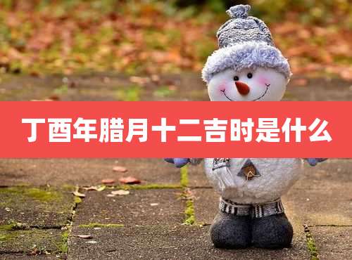 丁酉年腊月十二吉时是什么