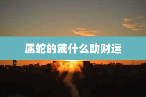 属蛇的戴什么助财运