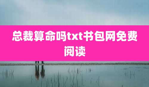 总裁算命吗txt书包网免费阅读