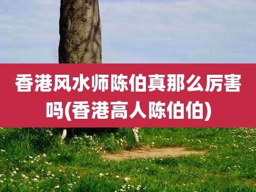 香港风水师陈伯真那么厉害吗(香港高人陈伯伯)