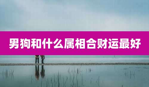 男狗和什么属相合财运最好